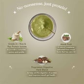 7 - Cosmix No-Nonsense Plant Protein, 7 sachets/pack Assorted