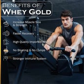 2 - Nakpro Whey Gold Protein Concentrate,  4.4 lb  Mango 