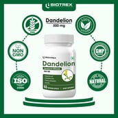 9 - Biotrex Dandelion 500mg,  60 veggie capsule(s) 