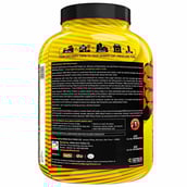 description - Avvatar Absolute 100% Whey Protein,  5 lb  Belgian Chocolate 