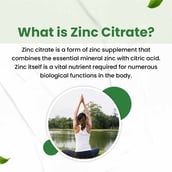 7 - Himalayan Organics Zinc Citrate 13.2mg,  120 veggie capsule(s) 
