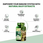 5 - Himalayan Organics Giloy Extract,  120 tablet(s) 