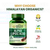 6 - Himalayan Organics Alpha Lipoic Acid,  60 tablet(s) 
