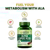 5 - Himalayan Organics Alpha Lipoic Acid,  60 tablet(s) 