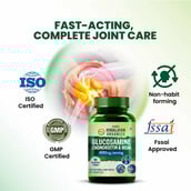 5 - Himalayan Organics Glucosamine Chondroitin & MSM,  90 tablet(s) 