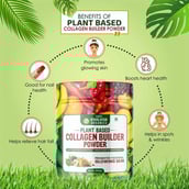 5 - Himalayan Organics Plant Based Collagen Builder Powder,  250 g  Promotes Youthful Glowing skin 