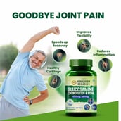 8 - Himalayan Organics Glucosamine Chondroitin & MSM,  90 tablet(s) 