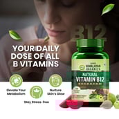 7 - Himalayan Organics Plant Based Vitamin B12,  120 veggie capsule(s)  Unflavoured 