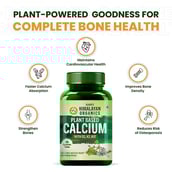 5 - Himalayan Organics Plant Based Calcium,  60 tablet(s)  Unflavoured 