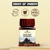 5 - Upakarma Ayurveda Shilajit,  90 capsules 