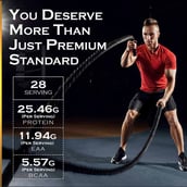 3 - Nakpro Whey Gold Protein Concentrate,  2.2 lb  Chocolate with Creatine Monohydrate 0.22 lb Tangy Orange 