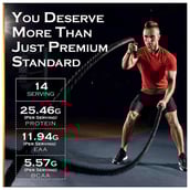 3 - Nakpro Whey Gold Protein Concentrate,  1.1 lb  Chocolate 