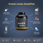 4 - Nutrabay Gold Tri-Blend Whey Protein, 4.4 lb Kesar Badam Pista