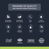 7 - Nutrabay Wellness All-Natural Plant Protein + Superfoods,  2.2 lb  Gourmet Chocolate 