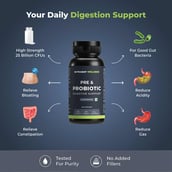 2 - Nutrabay Wellness Pre & Probiotic Digestive Support,  60 capsules  (25 Billion CFUs) 