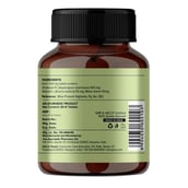 2 - Jiva Ayurveda Shatavari (Pack of 2),  60 tablet(s) 