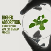 6 - Kapiva Ashwagandha Gold,  60 capsules 