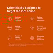 3 - Origins Nutra Blood Sugar Balance (Pack of 3),  56 veggie capsule(s) 