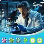 2 - Humming Herbs Liver Care Tudca +,  120 capsules 