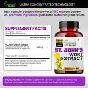 4 - Humming Herbs St. John's Wort Extract,  90 capsules 