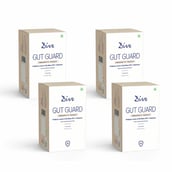 1 - Dive Gut Guard Immunity Boost,  15 Piece(s)/Pack  Orange (Pack of 4) 