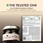 9 - Upakarma Ayurveda Pure Shilajit,  30 g 