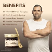 9 - Upakarma Ayurveda Pure Shilajit,  20 g 