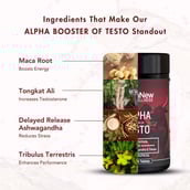 3 - WishNew Wellness Alpha Booster of Testo,  30 tablet(s)  Unflavoured 