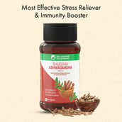 2 - Dr. Vaidya's Shuddha Ashwagandha (Pack of 3),  60 tablet(s) 