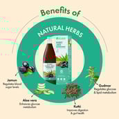 3 - Dr. Vaidya's Diabex Juice,  100% Natural (Pack of 2)  950 ml 