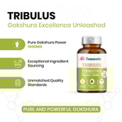 5 - Vaamveda Tribulus Terrestris Gokshura 1000mg,  60 tablet(s)  Unflavoured (Pack of 2) 