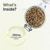 4 - GNC Milk Thistle 250 mg,  60 capsules 