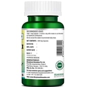 7 - Morpheme Remedies Phyllanthus Niruri (500 mg),  60 veggie capsule(s) 