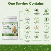 4 - INLIFE Vegan Plant Protein,  2.2 lb  Cookies & Cream 