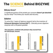 6 - MuscleBlaze Biozyme Performance Whey,  0.4 lb  Rich Chocolate Travel Pack (5x36g) sachets 