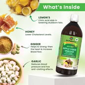 2 - Dr. Patkar's Apple Cider Vinegar with Garlic, Ginger, Lemon and Honey (pack of 2),  500 ml  Garlic, Ginger, Lemon and Honey 
