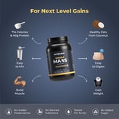 6 - Nutrabay Gold Mega Mass Gainer, 2.2 lb Rich Chocolate Creme