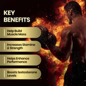 4 - Himalayan Organics Himalayan Shilajit,  20 g 