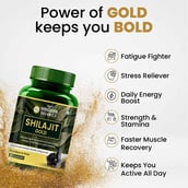 4 - Himalayan Organics Shilajit Gold,  60 capsules 