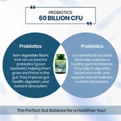 6 - Vlado's Himalayan Organics Probiotics 60 Billion CFU + 170mg Prebiotics,  60 veggie capsule(s)  Unflavoured 