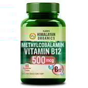 1 - Vlado's Himalayan Organics Methylcobalamin Vitamin B12 500mcg,  90 tablet(s)  Unflavoured 