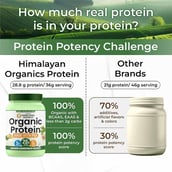 9 - Vlado's Himalayan Organics Organic Protein with Pea,  1.1 lb  Unflavoured 