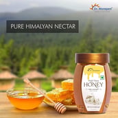 4 - Dr. Morepen 100% Pure Organic Honey & Multi Flora Honey,  250 g  Pure & Natural 