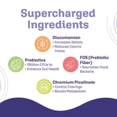 2 - Dr. Morepen LightLife Power Plan, 50 sachets/pack Pre-Meal Nutrition Mix flavour Assorted & On-The-Go Meal 10 Sachets flavour Chocolate