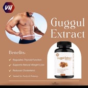4 - Vitaminhaat Guggul Extract Suddha Guggulu,  60 capsules 