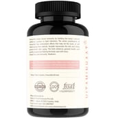 7 - Vitaminhaat Amalaki Amla Natural Vitamin C,  90 capsules 