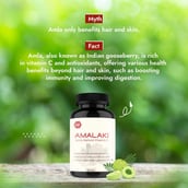 3 - Vitaminhaat Amalaki Amla Natural Vitamin C,  90 capsules 