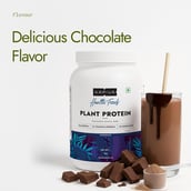 3 - Kapiva Him Foods Plant Protein,  2.2 lb  Chocolate 