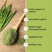 6 - Vlado's Himalayan Organics Organic Wheatgrass Powder,  100 g 