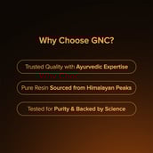 11 - GNC Pro Performance Himalayan Shilajit Resin,  20 g 